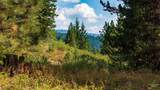 TBD 2 High Valley Road - Photo 14
