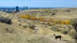 4335 Sandpoint Way - Photo 21