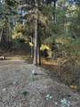 19 Frosty Hollow - Photo 3