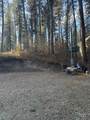 19 Frosty Hollow - Photo 4