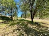 115 Helm Lane - Photo 14
