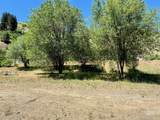 115 Helm Lane - Photo 4