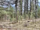 Lot 31 Meadow Creek - Photo 2