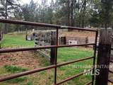 2891 Peola Road - Photo 30