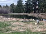 2891 Peola Road - Photo 35