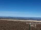 2891 Peola Road - Photo 4