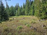 TBD #7 Hjalmar Johnson Road - Photo 1