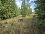 TBD #7 Hjalmar Johnson Road - Photo 2