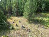 TBD #7 Hjalmar Johnson Road - Photo 24