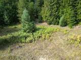 TBD #7 Hjalmar Johnson Road - Photo 25