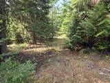 TBD #7 Hjalmar Johnson Road - Photo 5