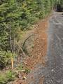 TBD #7 Hjalmar Johnson Road - Photo 8