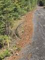 TBD #7 Hjalmar Johnson Road - Photo 9