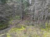 TBD Highway 12 - Photo 14