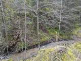 TBD Highway 12 - Photo 15