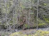 TBD Highway 12 - Photo 16