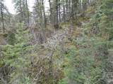 TBD Highway 12 - Photo 17
