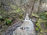 TBD Highway 12 - Photo 20