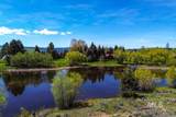 13976 Ramos Ct - Photo 18