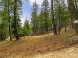 TBD Bumble Bee Rd. - Photo 6