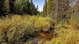 TBD 1 Warm Lake Road - Photo 10