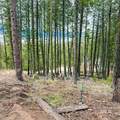 1309 Laurel Drive - Photo 26