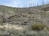 TBD Lester Creek Rd - Photo 1