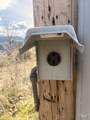 36171 River Rd - Photo 12
