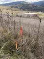 36171 River Rd - Photo 24