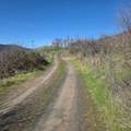 36171 River Rd - Photo 31