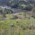 36171 River Rd - Photo 35