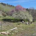 36171 River Rd - Photo 37
