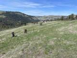 TBD Wagon Wheel Rd - Photo 14