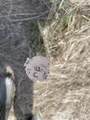 TBD Wagon Wheel Rd - Photo 16