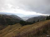 478 Deer Gulch Rd - Photo 11