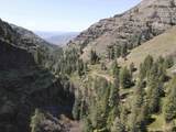 478 Deer Gulch Rd - Photo 18