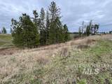 281 Flying Elk Drive - Photo 5