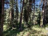 83 Panorama Drive - Photo 10