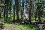 1801 Canary Trail - Photo 10