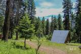 1801 Canary Trail - Photo 8