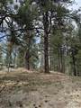 Lot 16 Sunset Loop - Photo 16