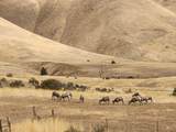 34559 Snake River Road - Photo 26