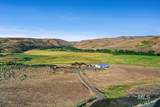 1684 Stirrup Way - Photo 37