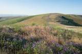 2001 Silcott Hills Rd - Photo 5
