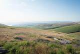 2001 Silcott Hills Rd - Photo 8