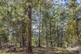 161 Little Donner Drive - Photo 1