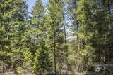 161 Little Donner Drive - Photo 11