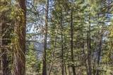 161 Little Donner Drive - Photo 2