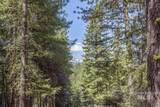161 Little Donner Drive - Photo 3