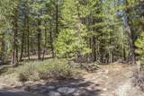 161 Little Donner Drive - Photo 5